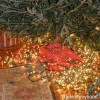 tree_lights
