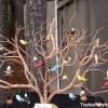 window_birdies