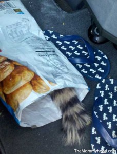 chips_in_the_car